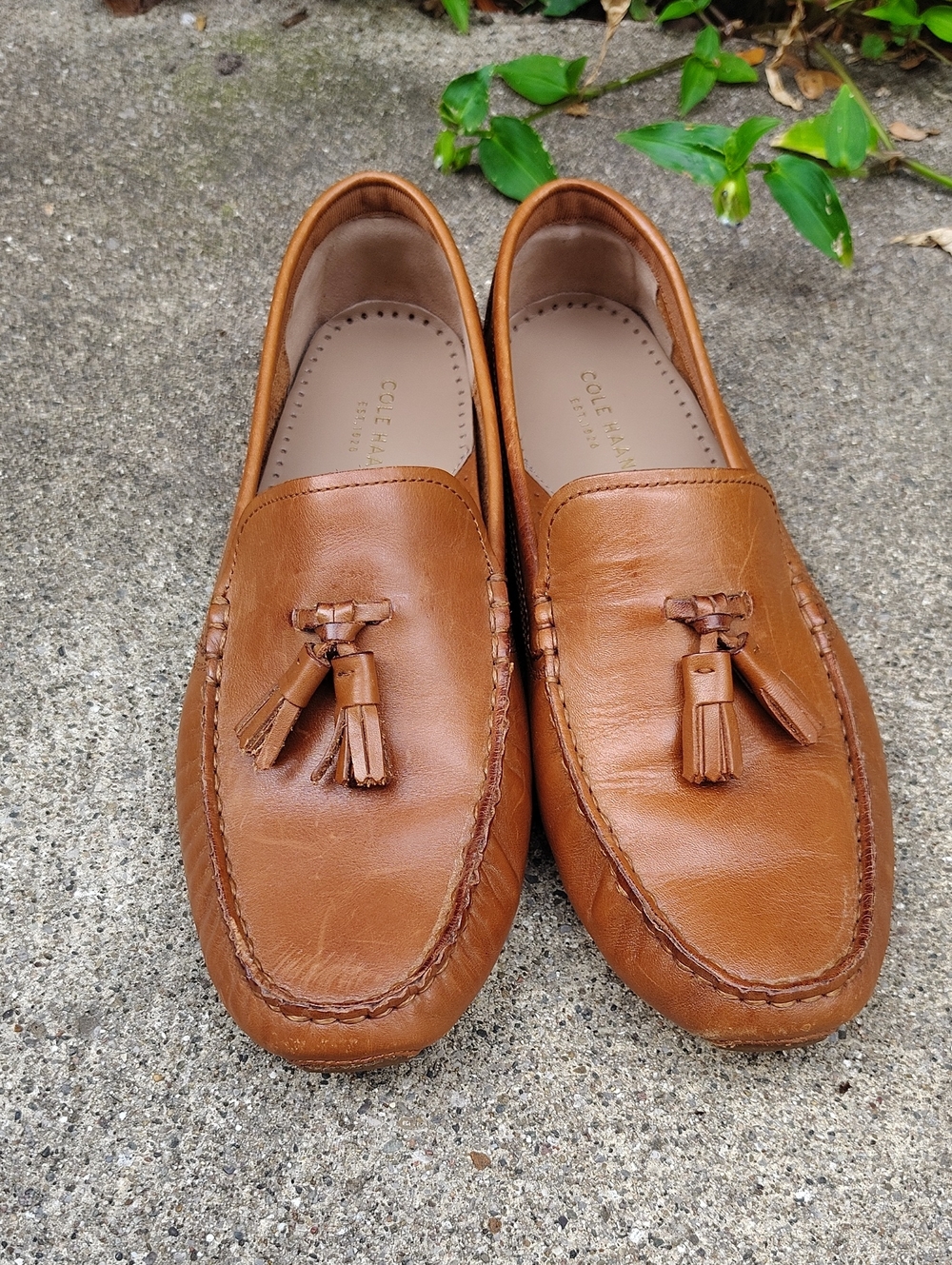 Cole Haan Pinch Tassel Loafers